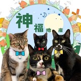樂屋網待售房屋聯絡人資訊