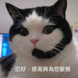 樂屋網待售房屋聯絡人資訊