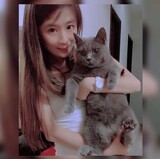 樂屋網待售房屋聯絡人資訊